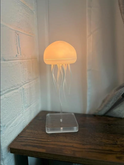 Jellyfish Lamp
