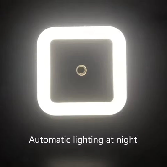 Intelligent LED Induction Light