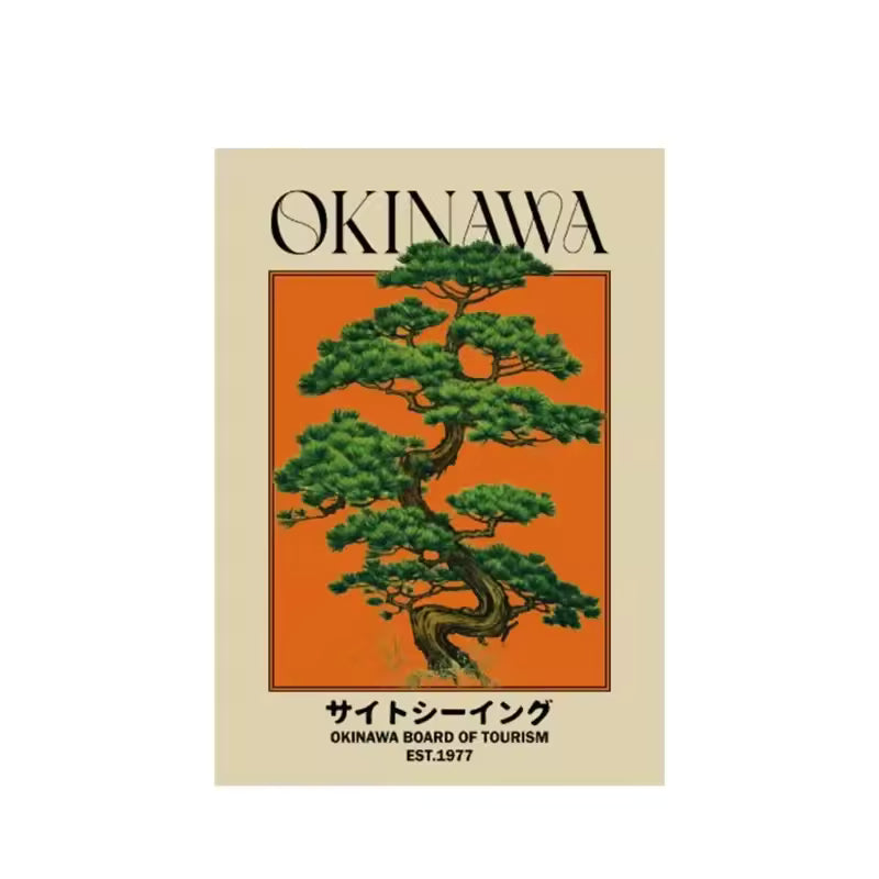 Japanese Retro Okinawa Picture