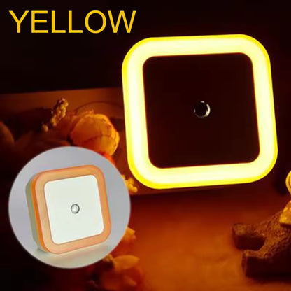 Intelligent LED Induction Light