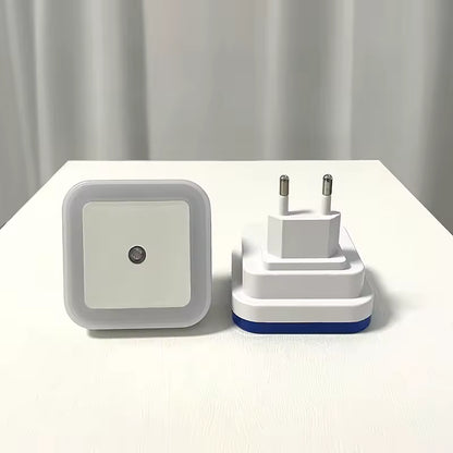 Intelligent LED Induction Light